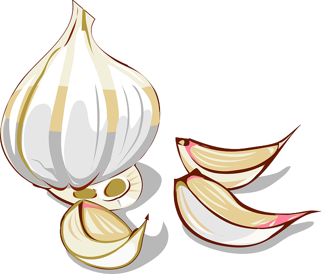 Garlic Onion Vegetable Clip Art - Garlic Onion Vegetable Clip Art (640x544)