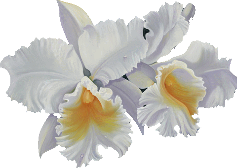 Report Abuse - Mensagem Religiosa Para Amigos (480x341)