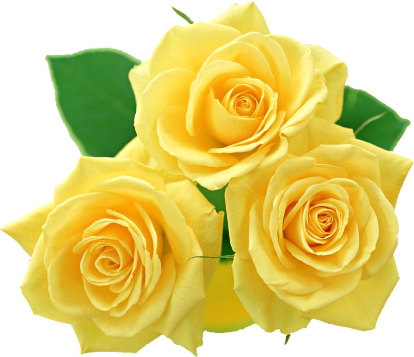 Yellow Roses Png By Melissa - Yellow Roses Png (900x875)