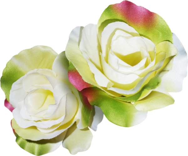 Multicolored Roses - Centerblog Tubes Animè Fleurs (600x499)