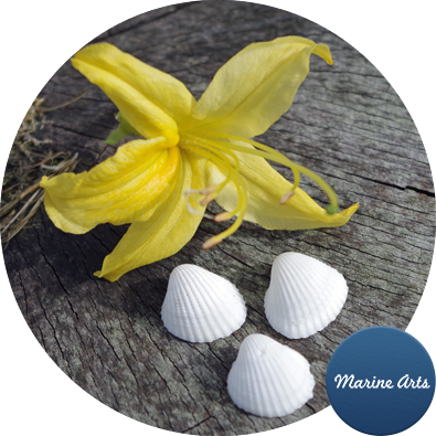 Hobby - Lily Family (395x395)