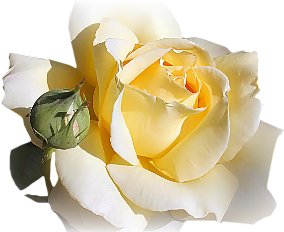 Publicat De Eu Ciresica La - Feliz Dia Da Secretaria (700x466)