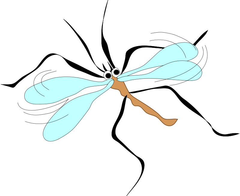 Free Vector Moschito Stecchito Clip Art - Mosquito Clip Art (800x655)