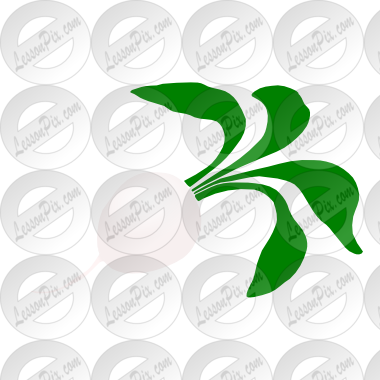 Radish Stencil - Illustration (380x380)