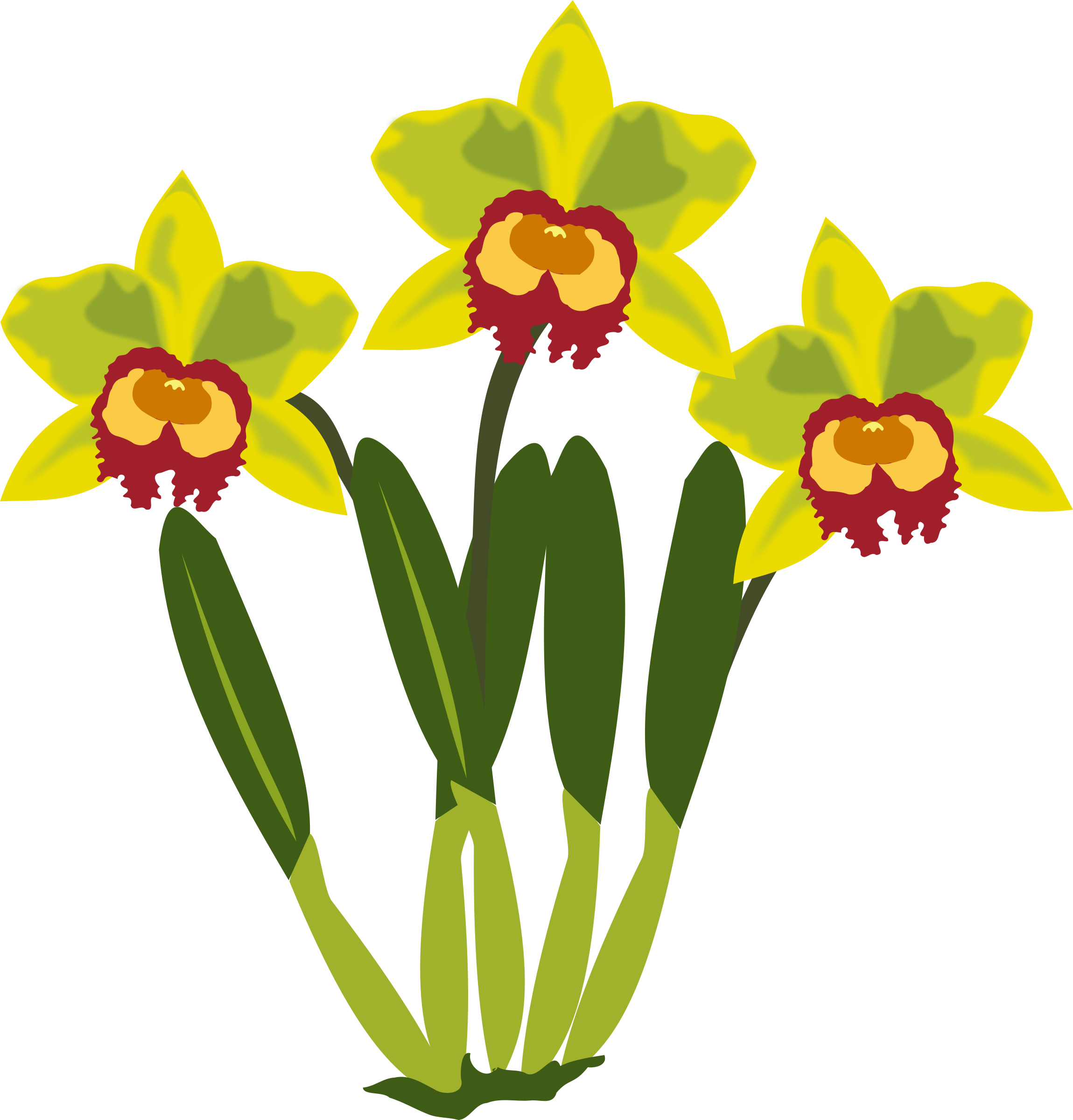 Cattleya Orchids Computer Icons Clip Art - Cattleya Orchids Computer Icons Clip Art (2299x2400)