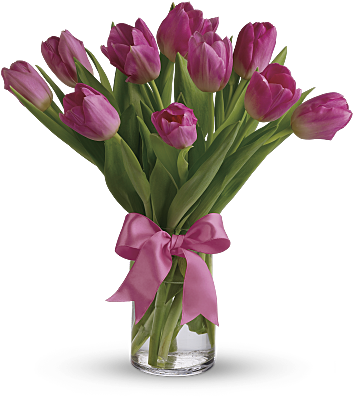 Shop For Tulips - Happy Birthday Flowers Tulips (400x400)