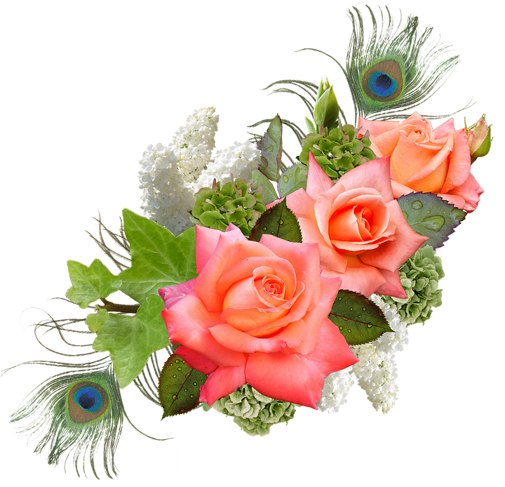 Rose, Rose Flower, Hydrangeas, Lilac, Peacock - Wedding Wishes (720x720)