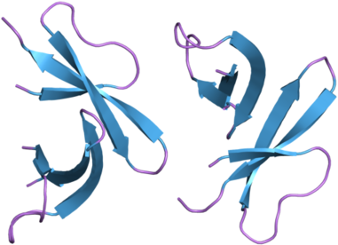 Butterfly Desktop Wallpaper Clip Art - Calligraphy (600x450)