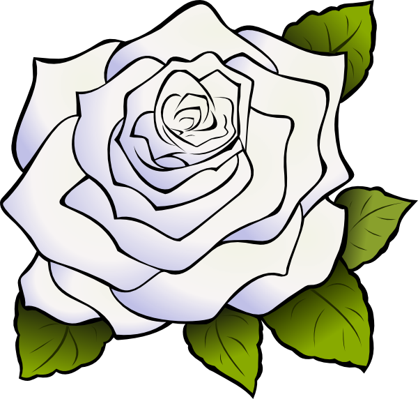 White Rose Clipart Png (600x572)