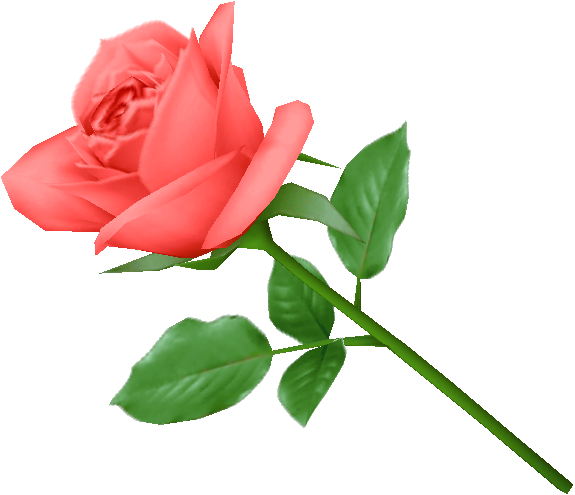 Rose Png Flower Images, Free Download - وردة Png (575x495)
