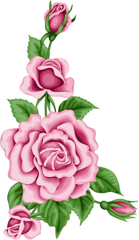 Фото, Автор Soloveika На Яндекс - Pink Floral Border Roses (462x800)