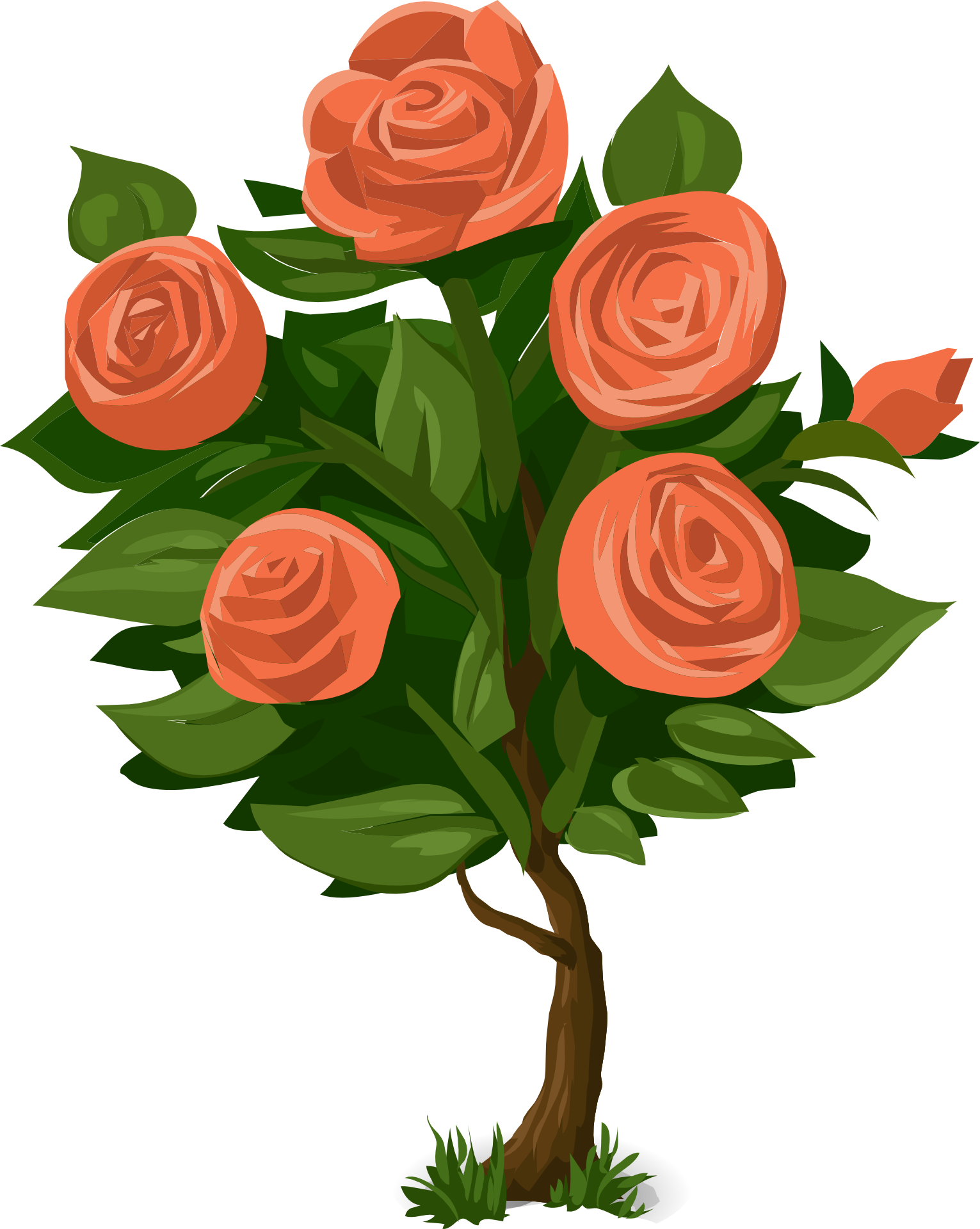 Rose Shrub Flower Clip Art - Rose Bush Clip Art (1531x1920)