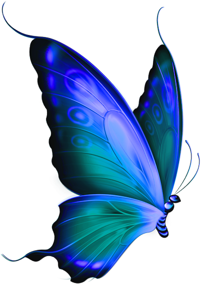 Blue Rose Cliparts Free Download Clip Art Free Clip - Transparent Butterfly (433x584)