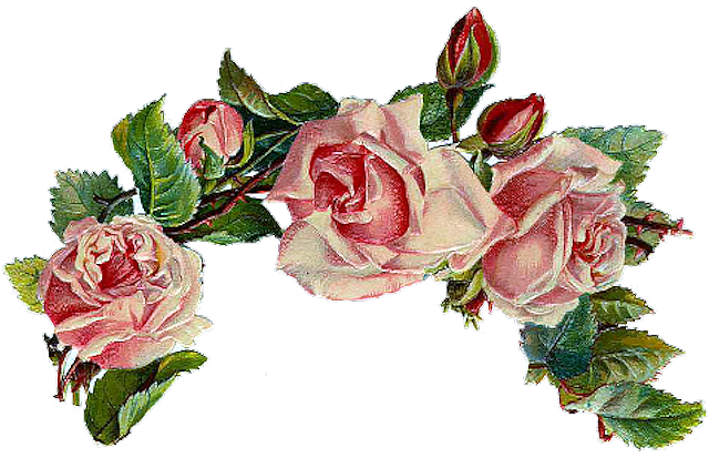 Through Fossil Evidence, Roses Have Existed Since Prehistoric - سكرابز ورود بدون تحميل (646x415)