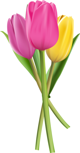 Clipart Images - Hd & 3d Flowers Png (261x500)