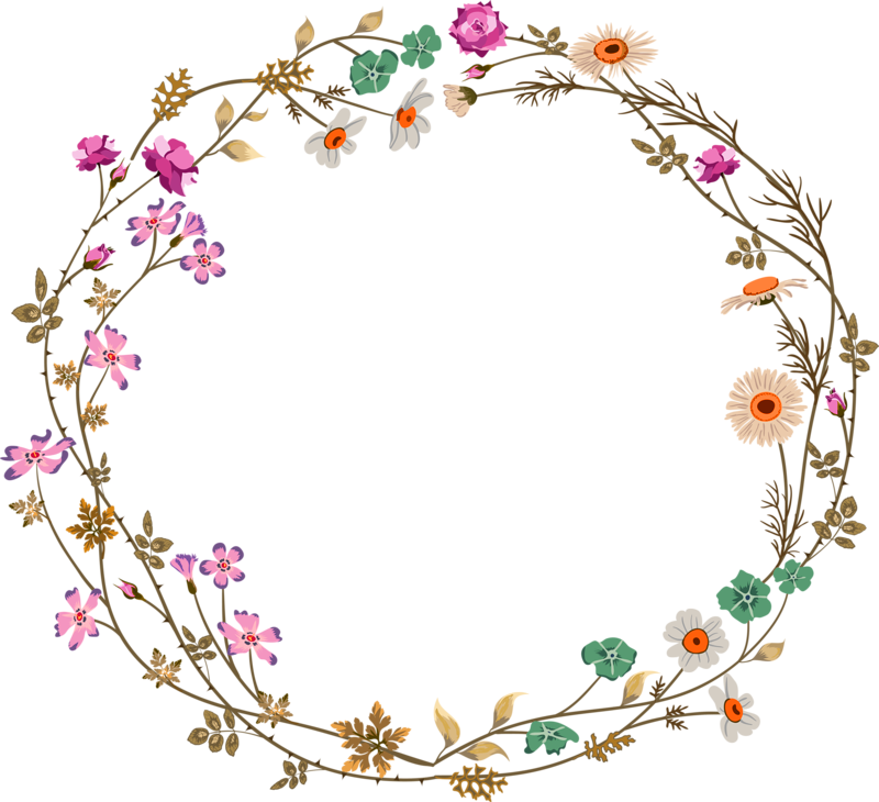 Colorful Simplicity Flower Vine Circle Border Texture - Flower Circle Border Png (800x730)