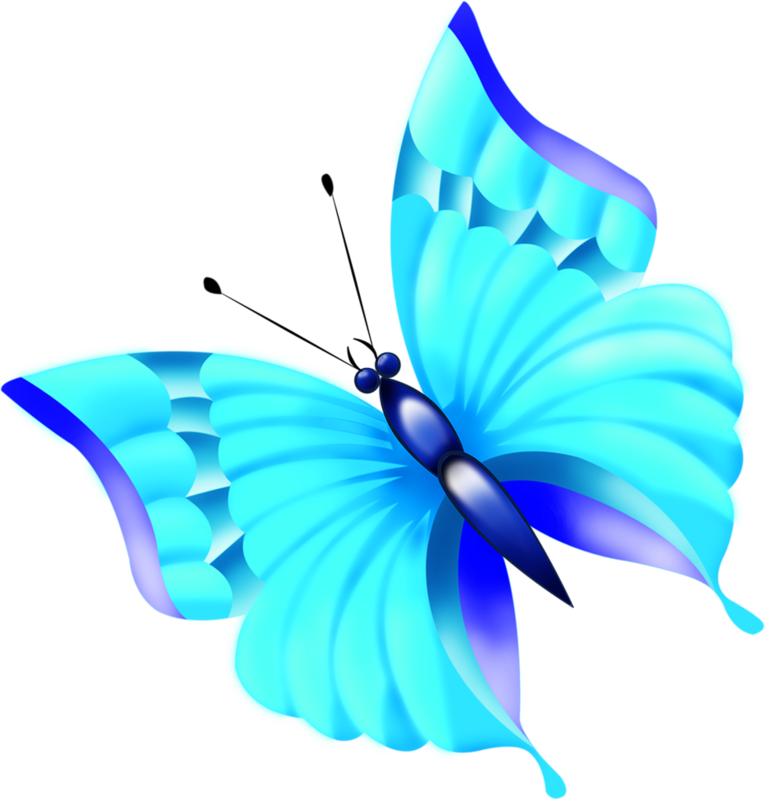 Butterfly (980x1024)