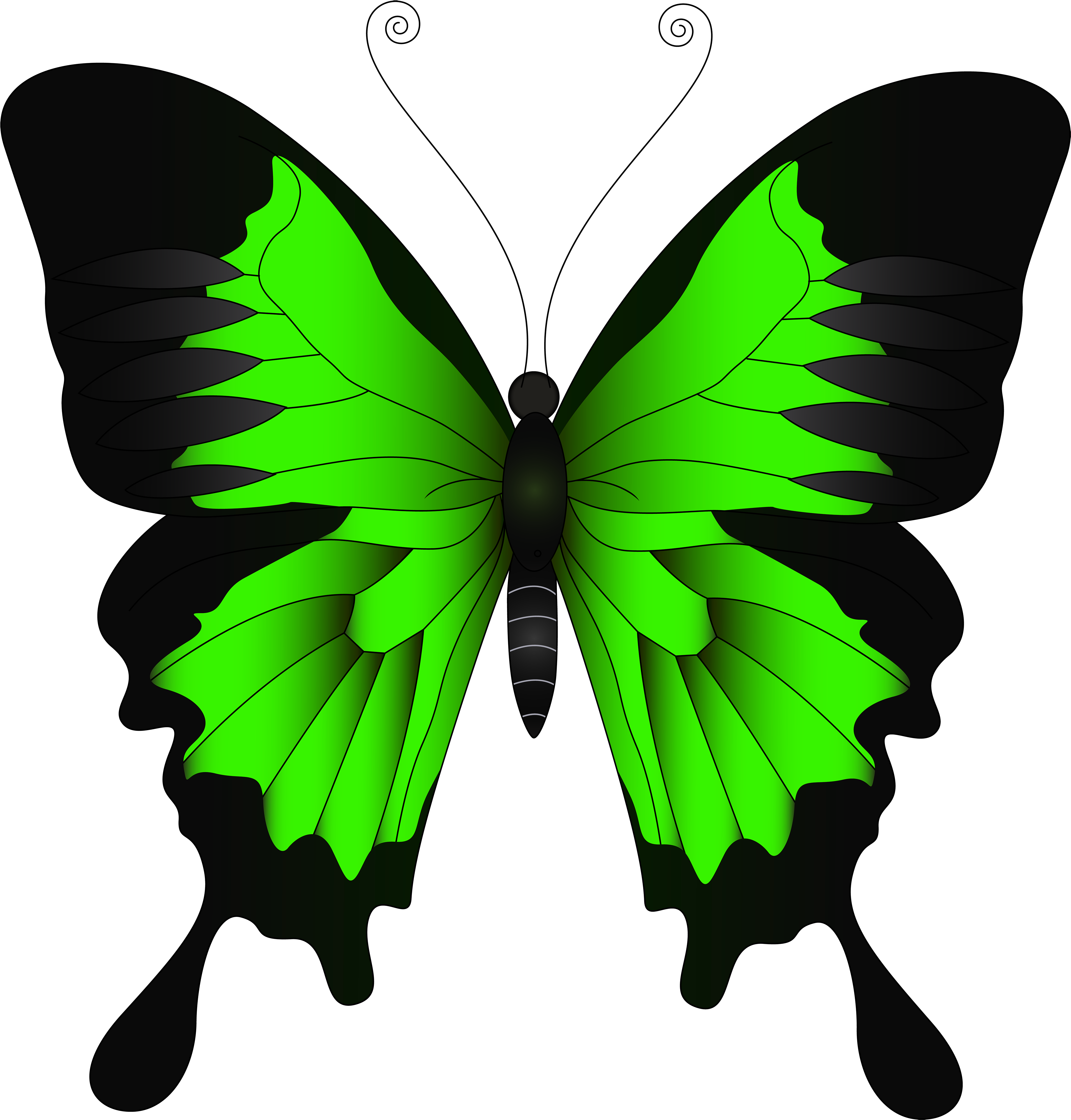 Green Butterfly Png Clip Art Image - Blue And Purple Butterfly (4783x5000)