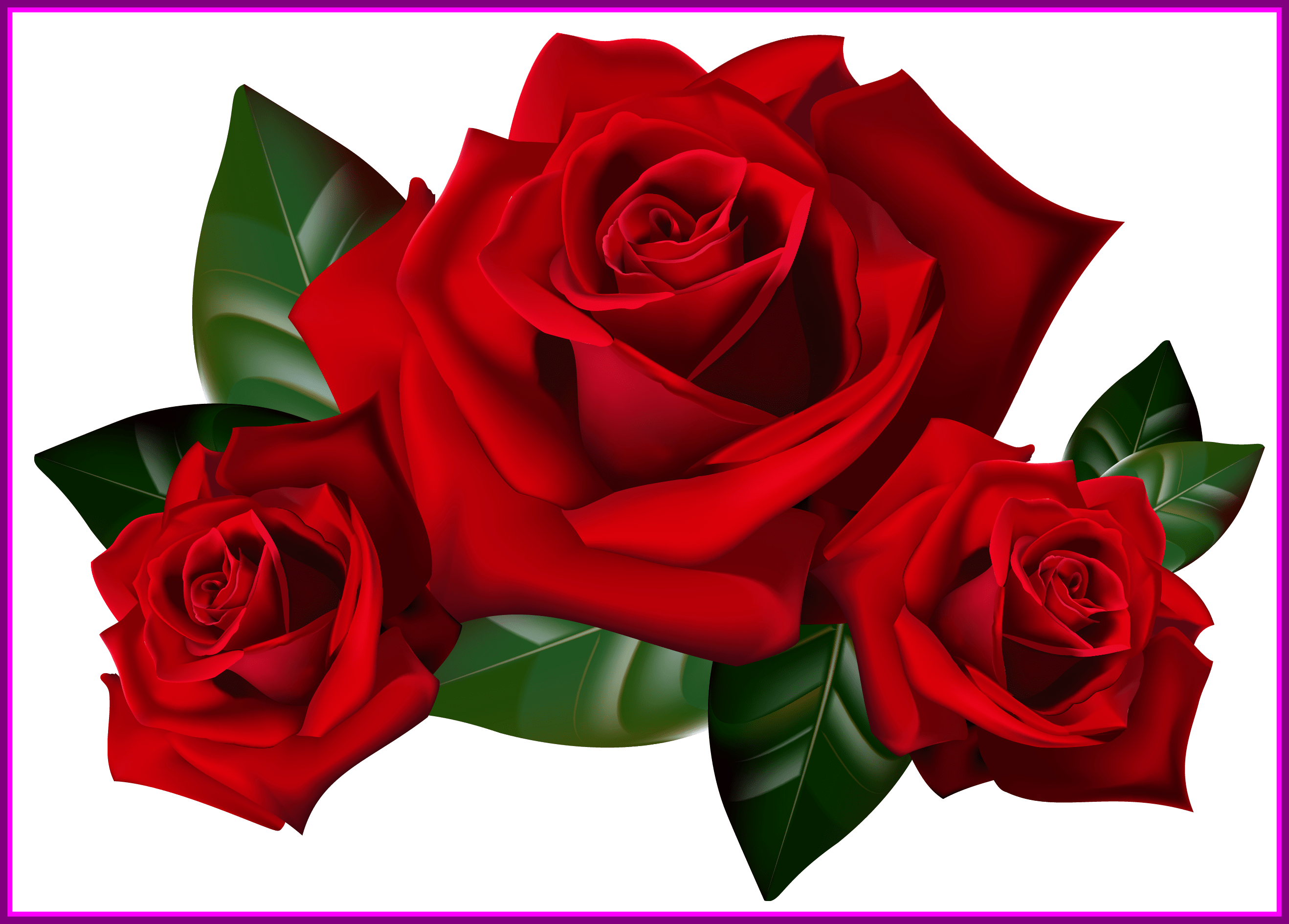 Appealing Bouquet Of Frame Clipart Kid Rose Art Image - Transparent Background Roses Transparent (2636x1890)
