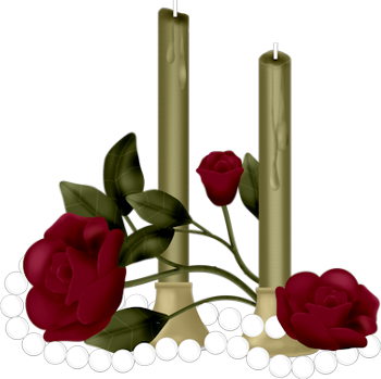 More Information - Garden Roses (350x349)