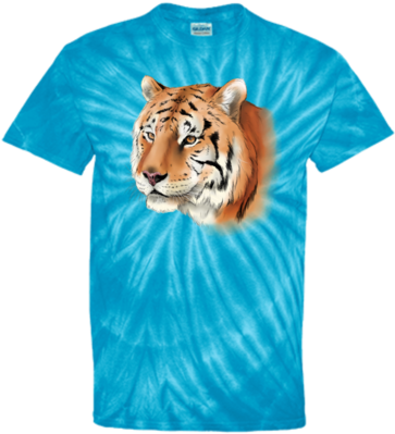 Andy Tiger Color Cd100y Youth Tie Dye T-shirt - Post Malone Pubg Shirt (400x400)