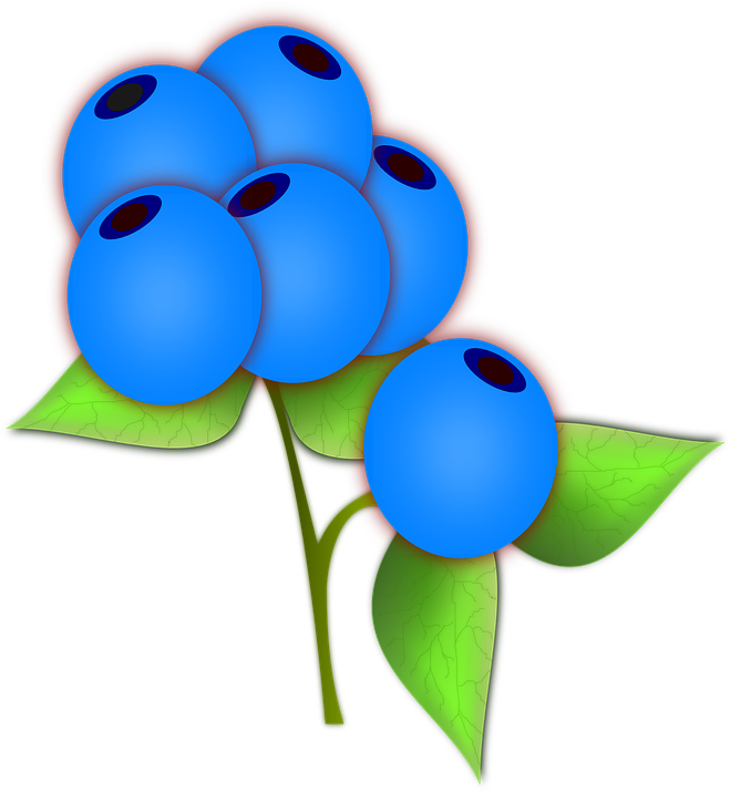 Blueberries Png Clip Art - Blå Bær I Skogen (1178x1280)