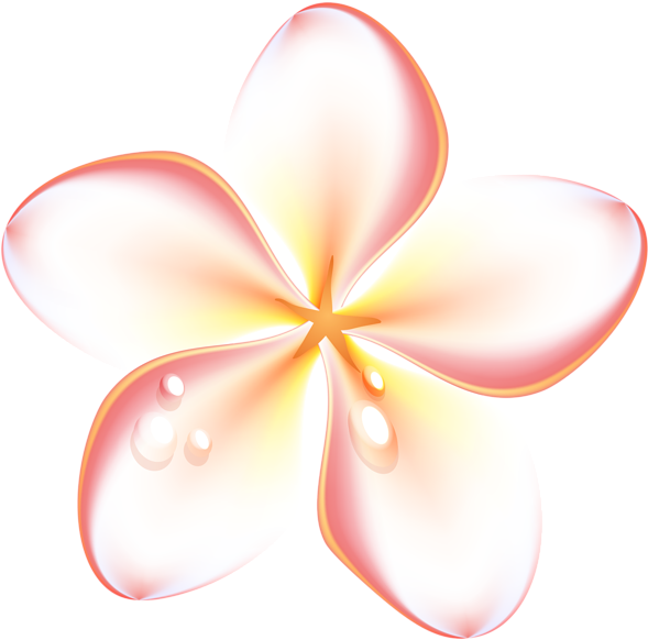 0, - Flower Summer Png (4895x4823)