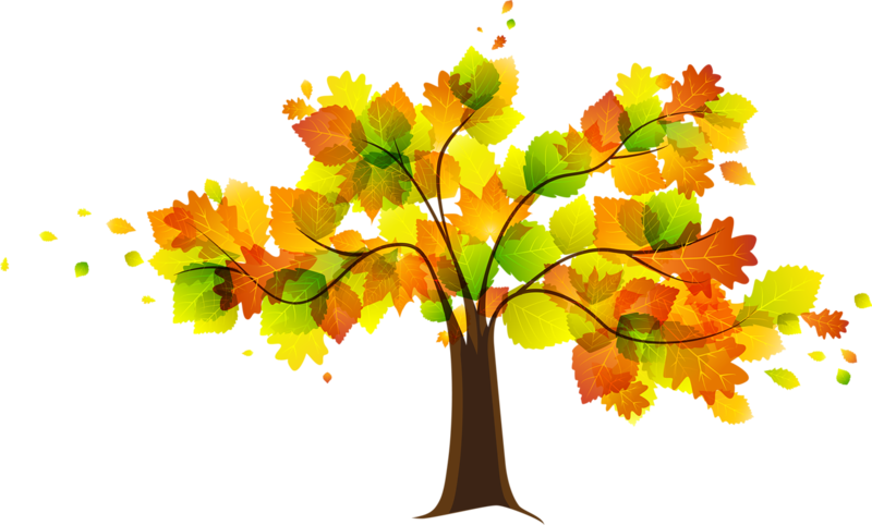 Fall Leaves Fall Clip Art Autumn Clipart - Autumn Tree Clip Art Png (800x482)