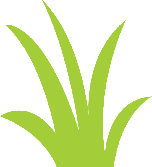 Say Hello - Dibujo De Pasto Para Colorear (600x658)