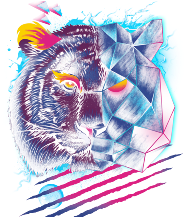 Rad Tiger - Illustration (571x432)