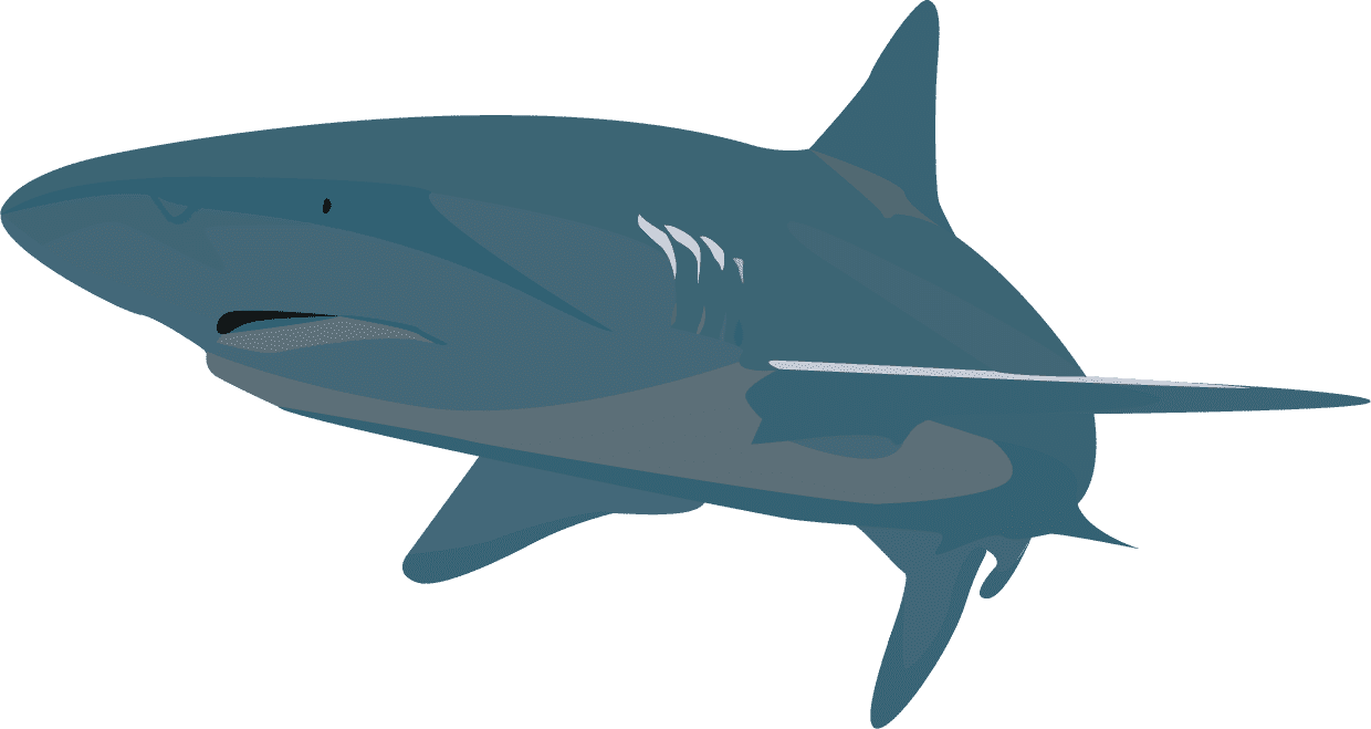 Digital Illustrations - Great White Shark (1240x659)