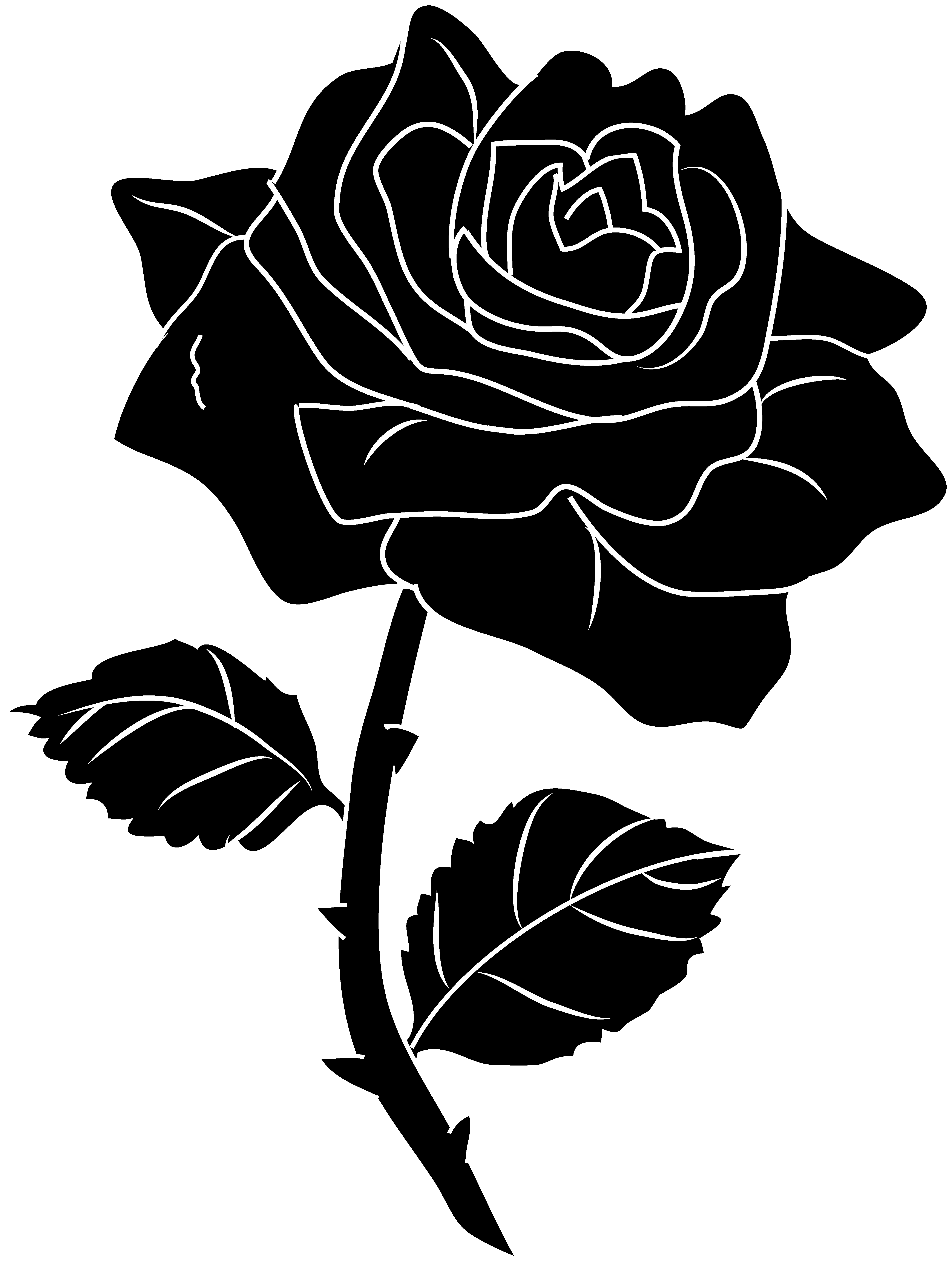 Beauty And The Beast Rose Clipart (4429x5878)
