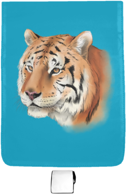 Andy Tiger Color Sb210 Medium Shoulder Bag - Suitcase (400x400)