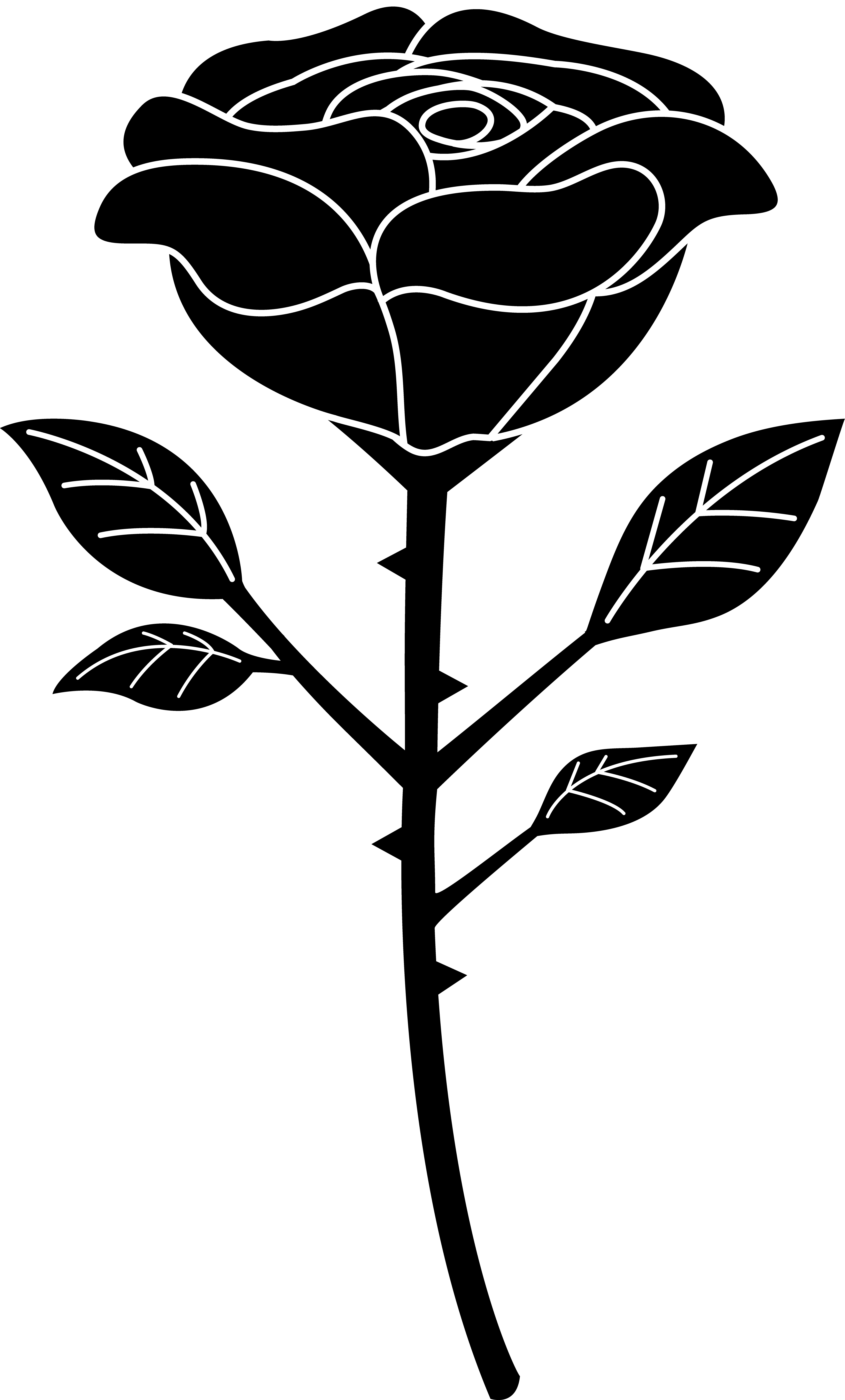 Elegant Rose Clip Art Black And White Medium Size - Clip Art Black And White (4334x7175)