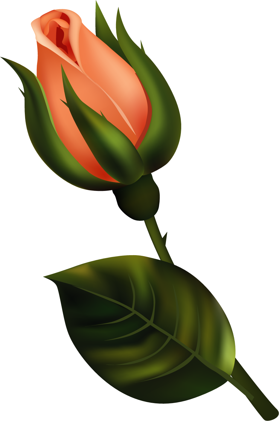 Colored Pencil Artwork, Colored Pencils, Flower Clipart, - Flowers Clip Art Realistic (933x1409)