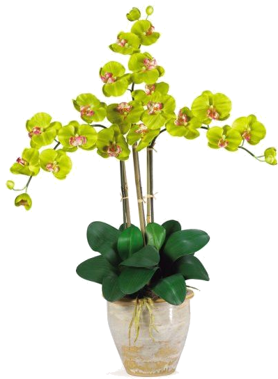 Nearly Natural Triple Stem Phalaenopsis Orchid Silk - Nearly Natural Triple Phalaenopsis Silk Orchid Flowers (600x600)