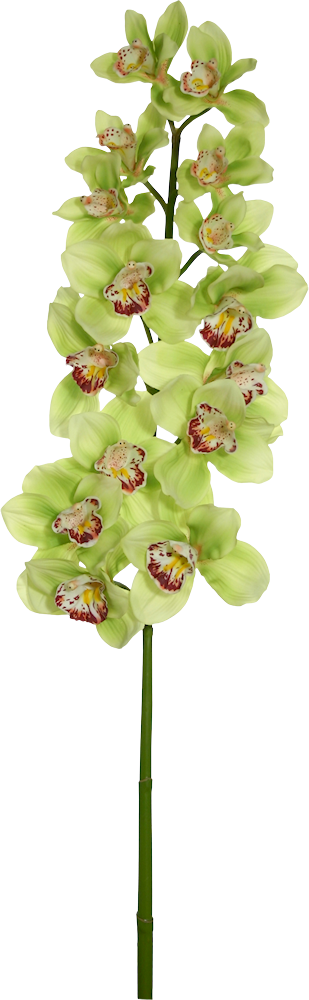 Natali На - Orchids (309x1000)