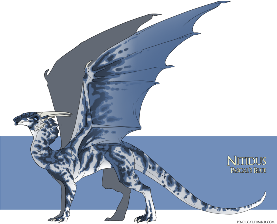 Color Version Of Color Added In Photoshop Cs3 Others - Nitidus Dragon (971x823)