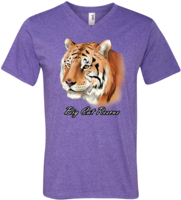 Bcr Andy Tiger Color 982 Anvil Men's Printed V Neck - T-shirt (400x400)