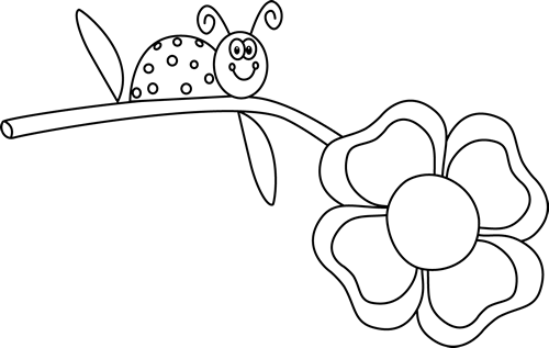 White Flower Clipart Cute Ladybug - Ladybug On Flower Pictures Clipart (500x317)