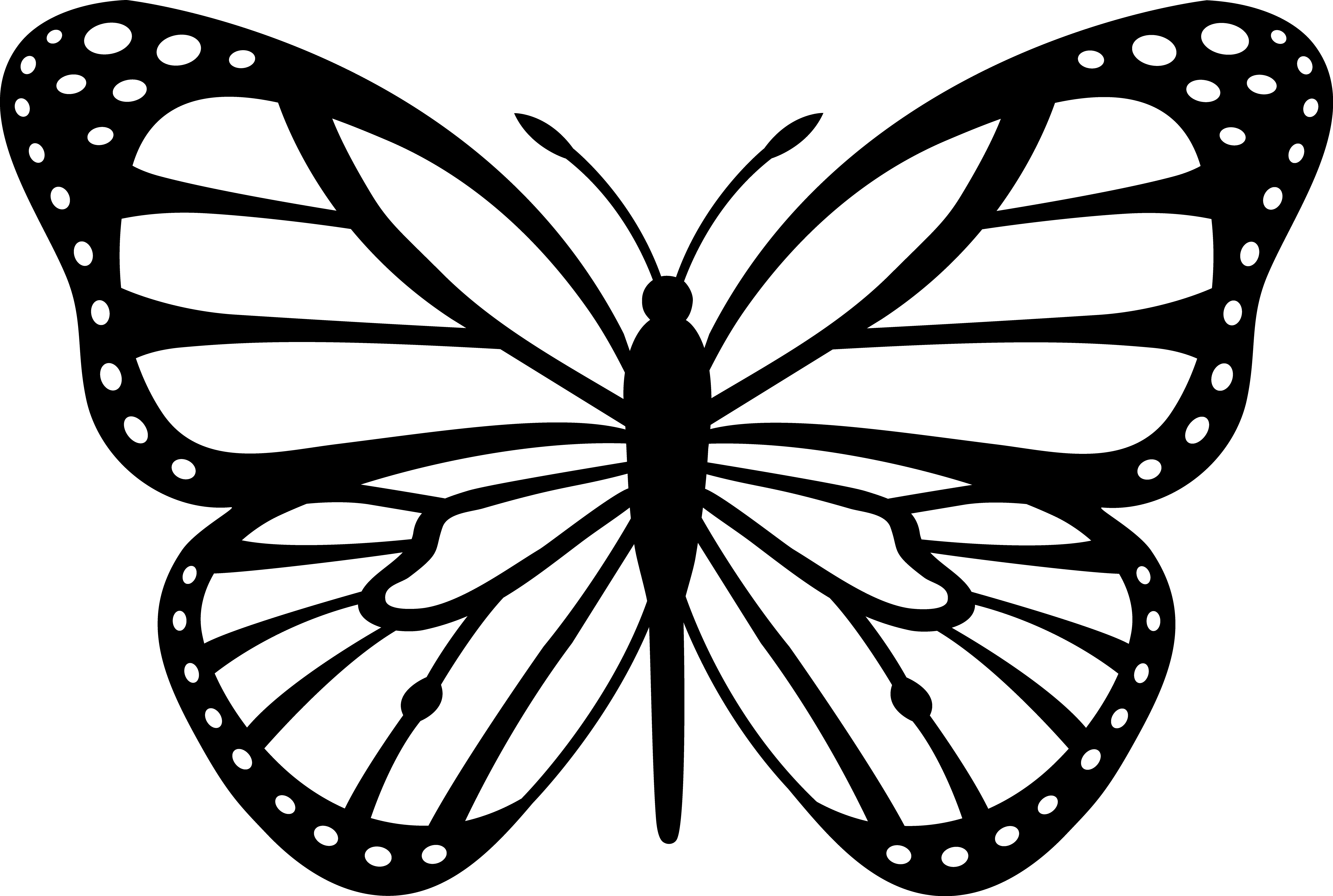 Black And White Butterfly Clip Art Coloring Page For - Black And White Butterfly (5920x3982)