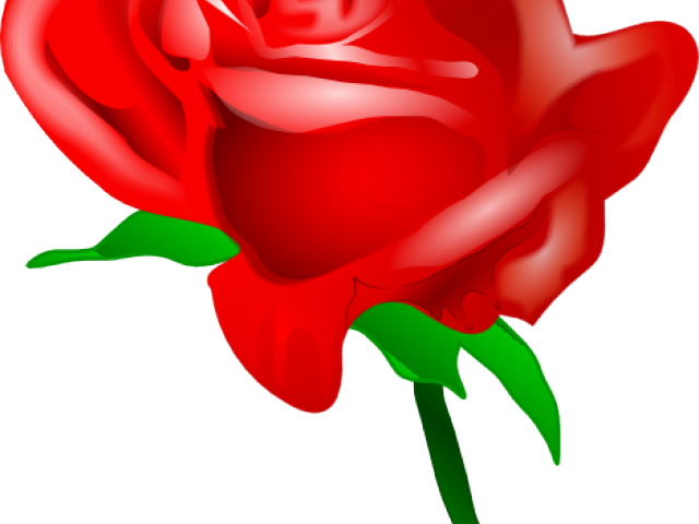 Yellow Rose Clipart Red Rose Outline - Vetor Rosas Vermelhas Png (640x480)