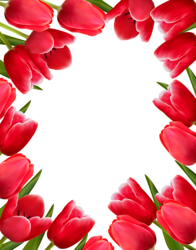 Craft - Tulips Flower Border Design (392x500)