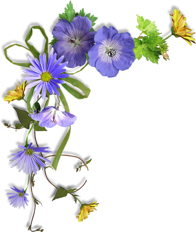 Utlm Cluster 3 - Cadre Pour Page De Garde (676x800)