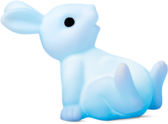 Watching This Reclining Rabbit Change Colours Will - Domestic Rabbit (800x800)