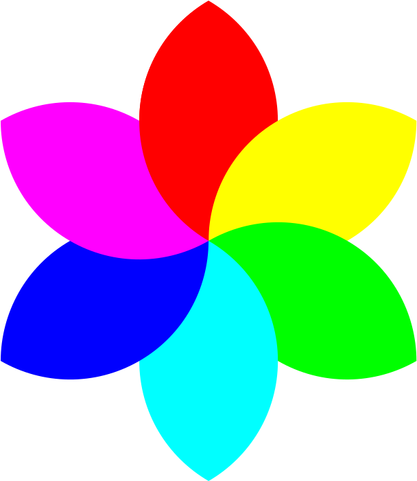 Medium Image - Flower With 6 Petals (800x800)