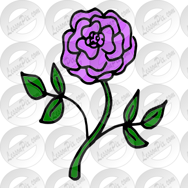 Purple Rose Clipart Puple - Rose (380x380)