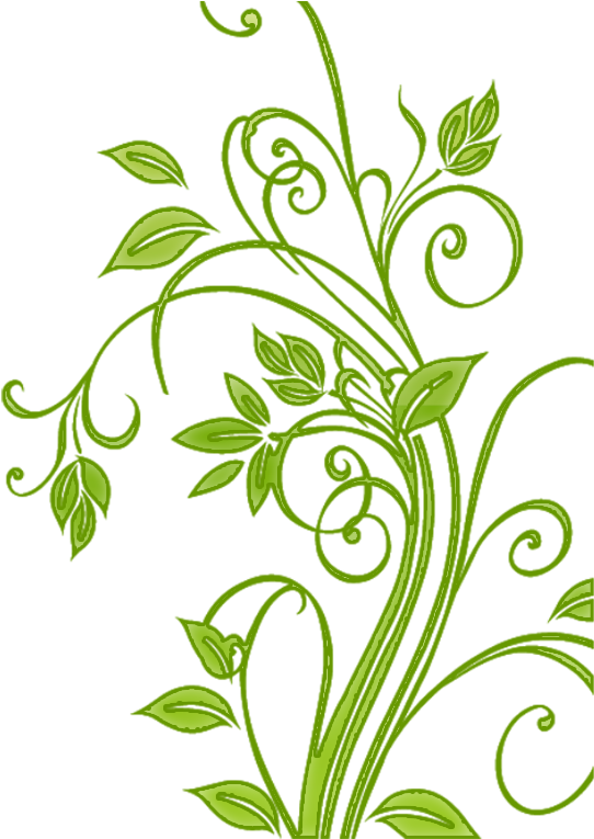 Flowers Vectors Ornament Png 1 - Flower Cdr (1024x768)