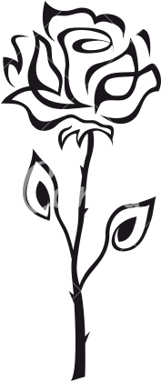 Rose Outline Icons By Canva Png - Rose (550x550)