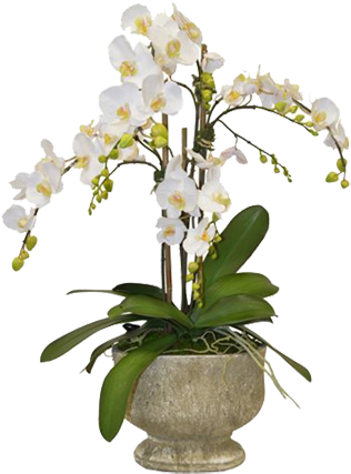 34" Orchids Arrangement In Urn - Faux - The French (350x448)